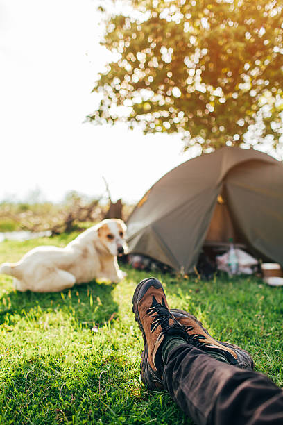 istock Woman  with dog in camping 604905300