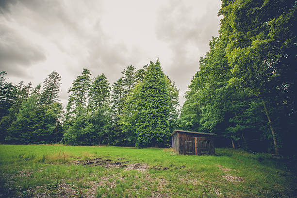 istock Small wooden shed on a field 604926146