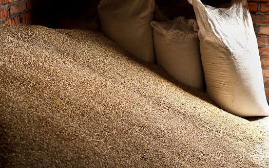 Wheat grains in sacks at mill storage, background