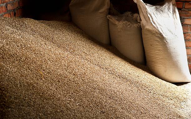 Wheat grains in sacks at mill storage Wheat grains in sacks at mill storage, background granary stock pictures, royalty-free photos & images
