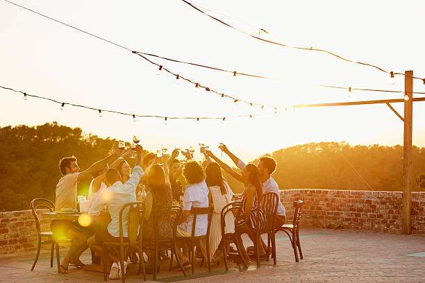 friends toasting drinks during social gathering - drinking wine stockfoto's en -beelden