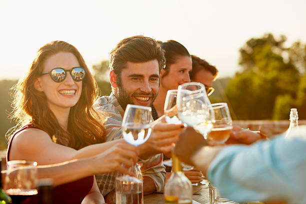 friends toasting at dinner party - drink alcohol summer celebration foto e immagini stock