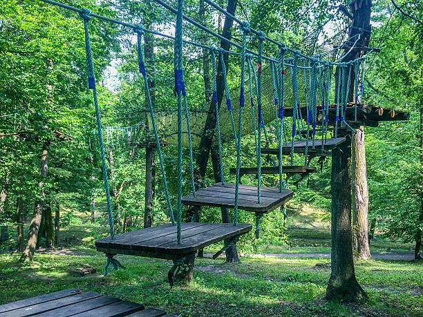 istock Rope park at trees in forest at summer day 605737672