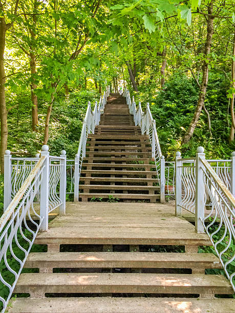 istock White beautiful staircase leading up in forest 605738136