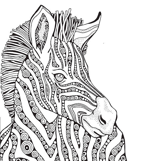 Coloring Book Page For Adult And Children Zebra Stock Illustration