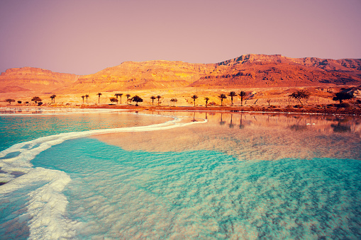 Dead Sea seashore with palm trees and mountains on background