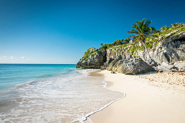 spiaggia tropicale bianca in tulum yucatan messico - horizon over water environment vacations nature foto e immagini stock