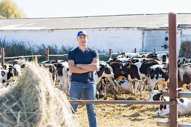 istock man farmer working on farm with dairy cows 605750582