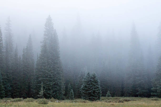 istock Thick fog in the San Juan National Forest 605751004