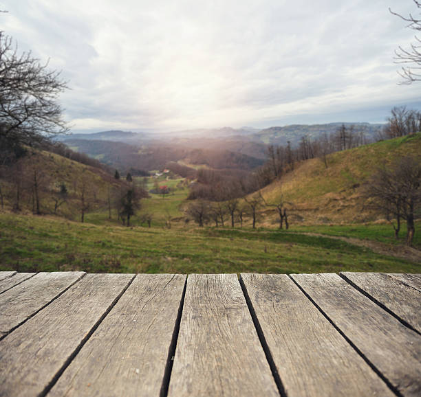 istock View from the wooden terrace 605752028