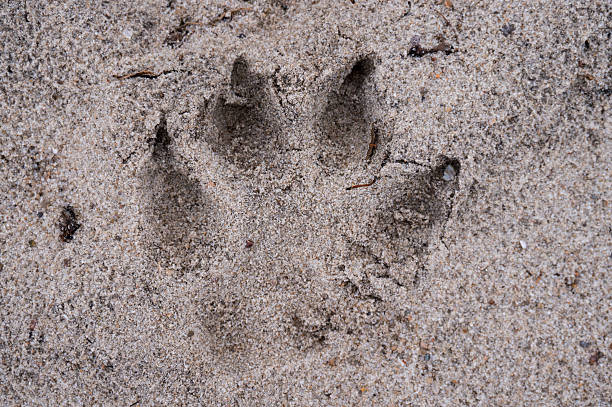 istock Memories imprinted in the sand 605752524