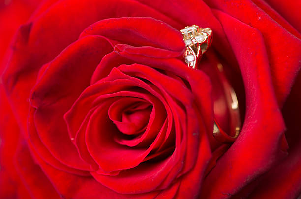 istock Gold ring with diamonds hidden in rose petals. 605753700