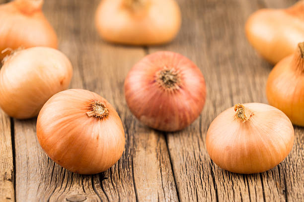 istock Onions on old wooden table. 605754036