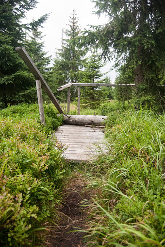 closed hiking trail with boardwalk from Modry sloup to Breznik through Luzenske udoli in Sumava mountains