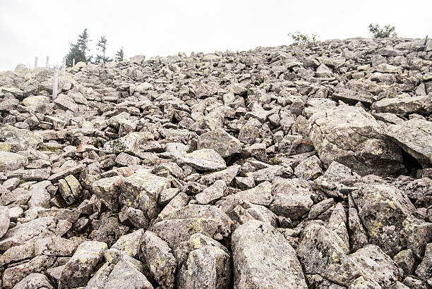 istock blockfield on Lusen hill in Bavarian Forest 605755400