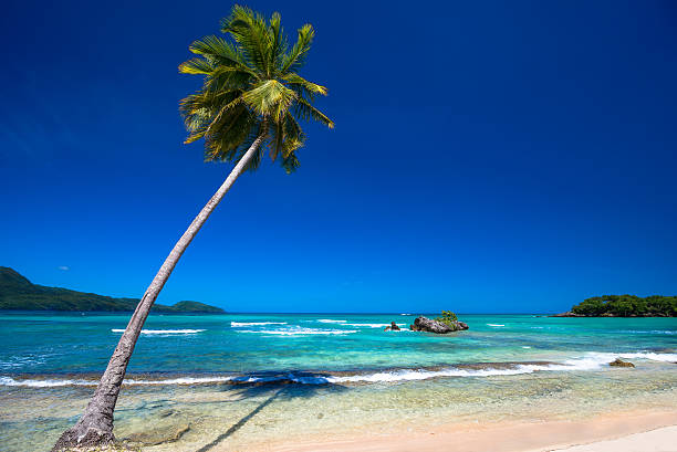 Paradise beach Playa Rincon; considered one of the 10 top beaches in Caribbean; Dominican Republic; near Las Galeras