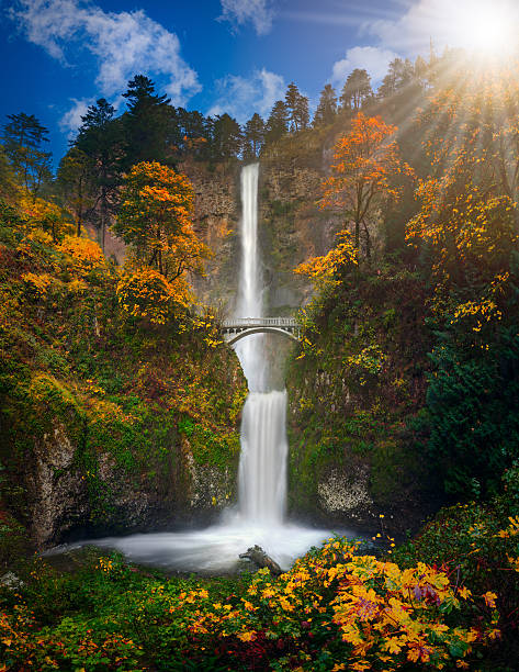 multnomah falls w jesiennych kolorach o wysokiej rozdzielczości - falling vertical green grass zdjęcia i obrazy z banku zdjęć