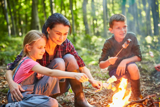 Family roasting marshmallows at campfire in forest  family camping stock pictures, royalty-free photos & images