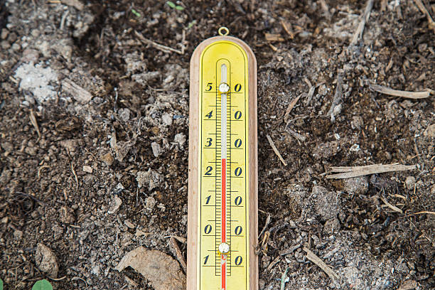 istock Outdoor Wooden Thermometer 605763590