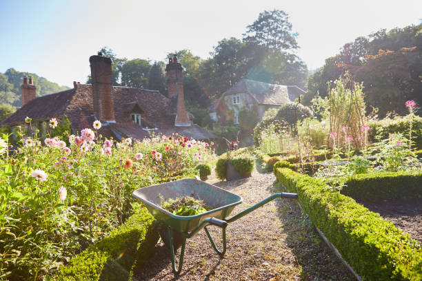 brouette dans un jardin à la française ensoleillé - maison de campagne photos et images de collection