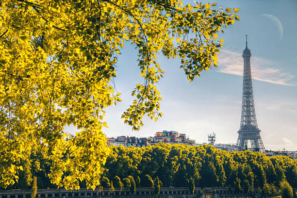 istock Eiffel Tower in Paris, France 605763698