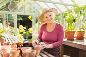 istock Portrait smiling senior woman potting plants in greenhouse 605763721