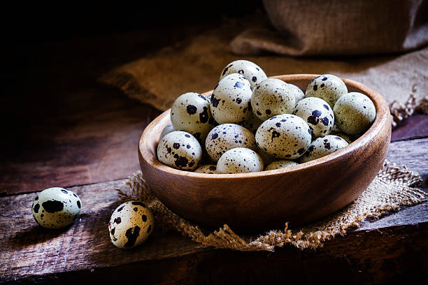 huevo de codorniz en un tazón - dot gain fotos fotografías e imágenes de stock