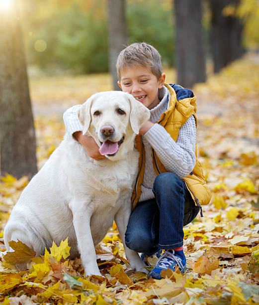 istock Boy and his dog 605771136