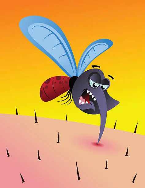 Vector illustration of Mosquito