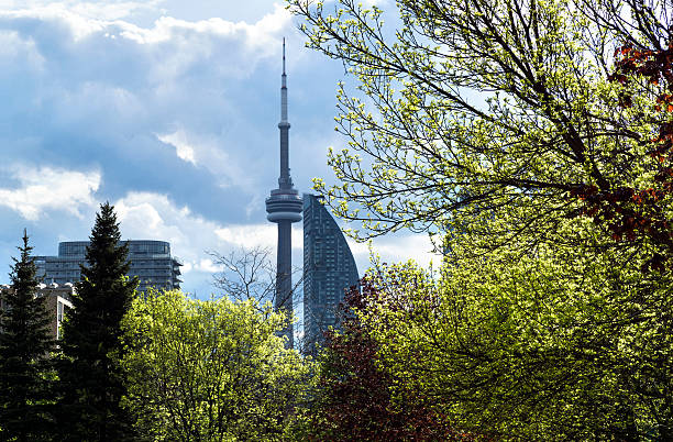 istock Toronto City and CN Tower view from a park 605771596