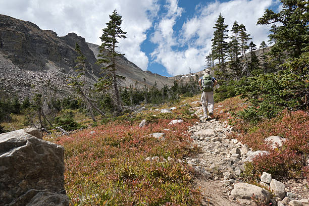 backpacker mann wandern indian peaks wilderness buchanan pass trail colorado - continental divide trail stock-fotos und bilder
