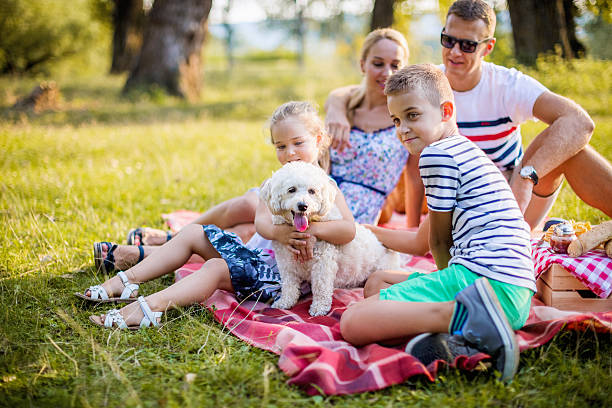 istock Family picnic with a cute dog 605772442