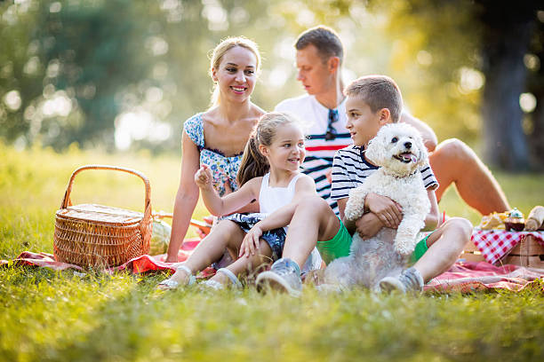 istock Family picnic with a cute dog 605772682