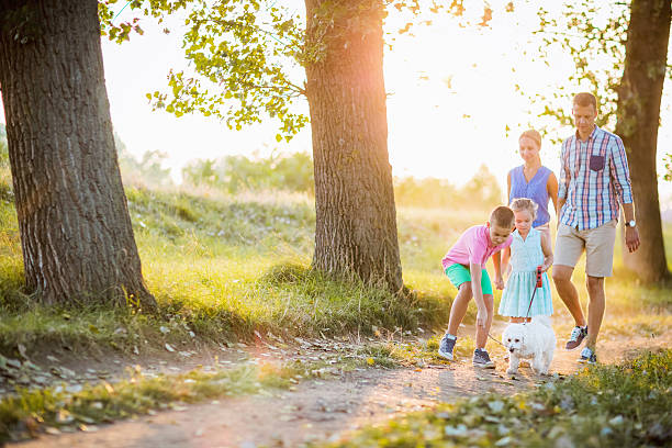istock Family walk with dog 605772960