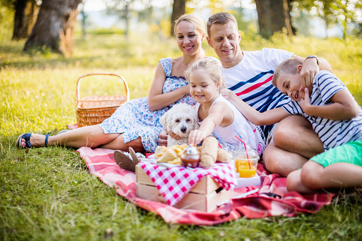 Two young women enjoying picnic on a sunny summer day