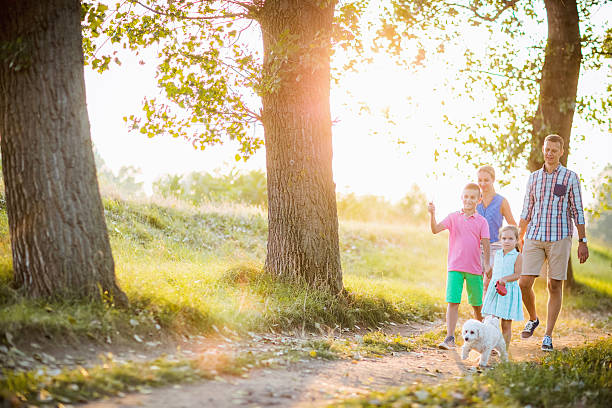 istock Family walk with dog 605773200