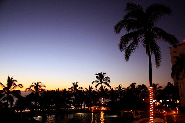 istock Landscape sunset on the beach with palm trees 605773276