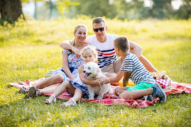 istock Cheerful friendly family is resting in park 605773616