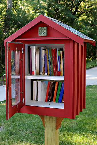A tiny library in a front yard erected by the homeowner to promote reading and literacy.