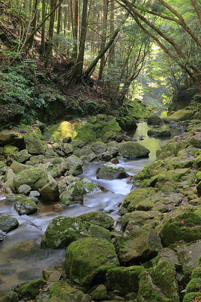 istock Akame 48 waterfalls valley in Mie Japan 605777122