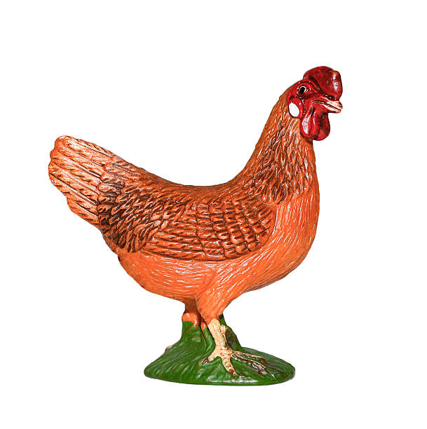 istock Toy chiken or hen isolated on white 605777238