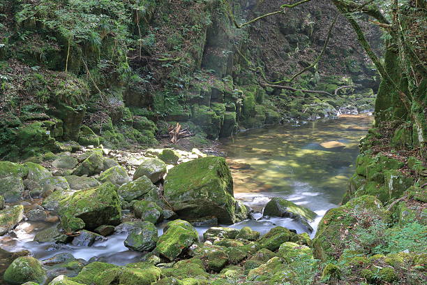 istock Akame 48 waterfalls valley in Mie Japan 605777434