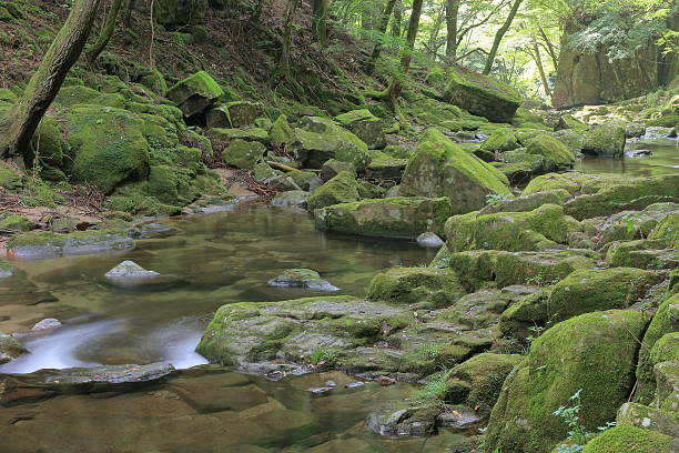 istock Akame 48 waterfalls valley in Mie Japan 605777828