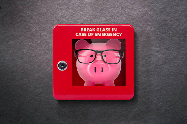 Emergency case with break away glass