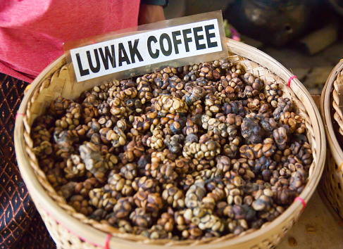 Kopi luwak es un café raro. Bebí en Bali. photo