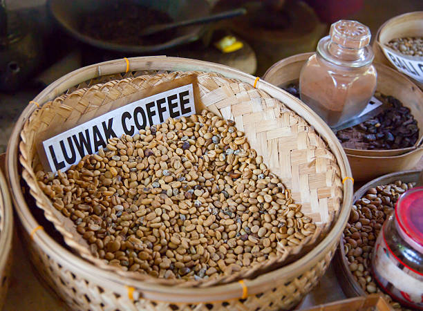 istock Kopi luwak is a rare coffee. I drank in Bali. 605779062