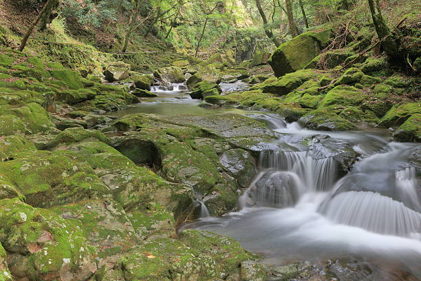 istock Akame 48 waterfalls valley in Mie Japan 605779280