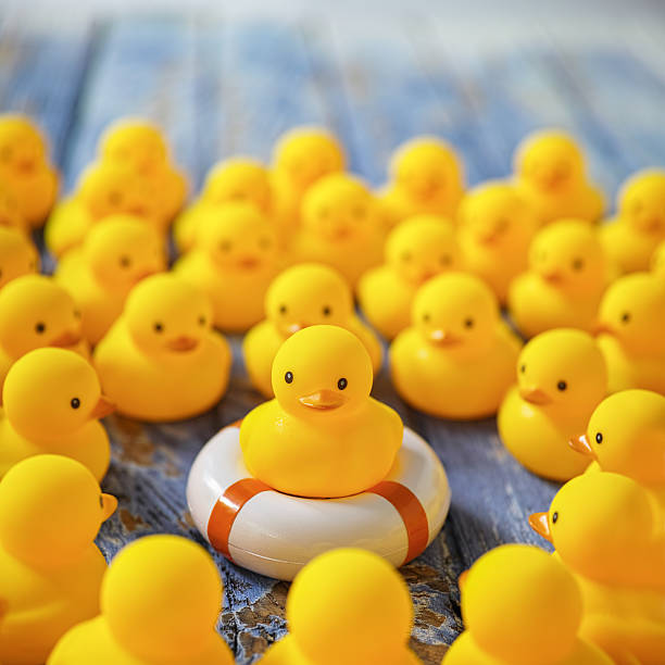 istock Rubber ducks gathering around a duck on a life ring. 605779534