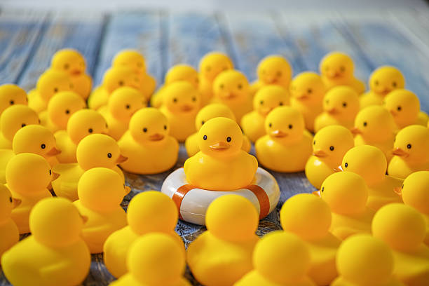istock Rubber ducks gathering around a duck on a life ring. 605779590
