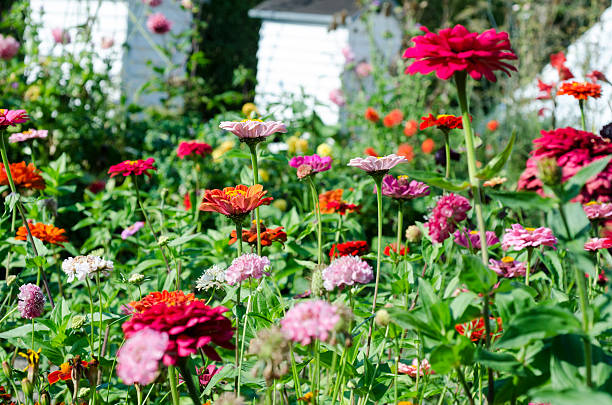 istock Colorful old-fashioned garden with beehives 605780436